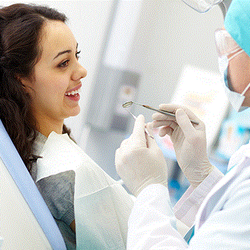 Seth D Feldman, DDS