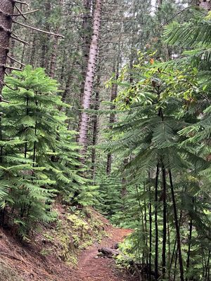 Hauʻula Loop Trail by null