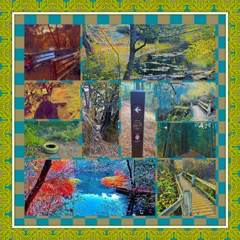 Tilden Nature Area - Montage of images from Tilden Nature Area - Hiking Near Me - Berkeley, California Tilden Nature Area - Montage of images from Tilden Nature Area - Hiking Near Me - Berkeley, California