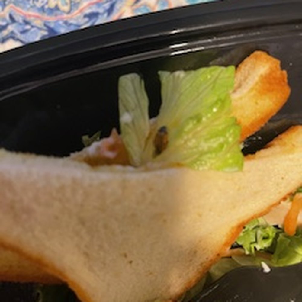 Bug in Food  Goose creek Zaxby's on  St James