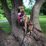 Photo of Pawesome Dog Training
