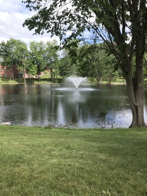 Quinnipiac University by null