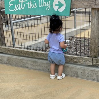 Brookfield Zoo Chicago - My baby girl loving the petting zoo - Zoos Near Me - Brookfield, Illinois Brookfield Zoo Chicago - My baby girl loving the petting zoo - Zoos Near Me - Brookfield, Illinois