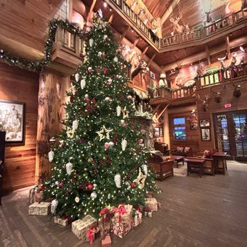 Bass Pro Shops - Christmas tree was beautiful - Outdoor Gear Near Me - Tacoma, Washington Bass Pro Shops - Christmas tree was beautiful - Outdoor Gear Near Me - Tacoma, Washington