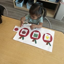 Smart Tree Child Care Center - Shape Sorting Game