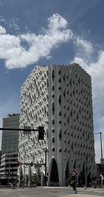 Populus by null