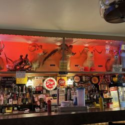 Paul's Tavern - Wild life at Paul's!