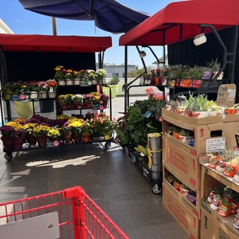 Trader Joe's - Grocery Near Me - Pasadena, California