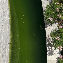 A Plus Pool Service - The pool that a plus's take care of.
