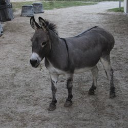 This is Ernie.