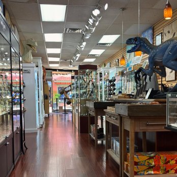 Prehistoric Florida - Gift Shops Near Me - St. Augustine, Florida Prehistoric Florida - Gift Shops Near Me - St. Augustine, Florida