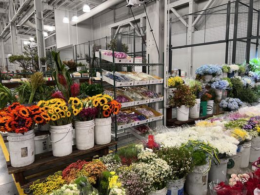 San Francisco Flower Market by null