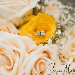 SM Productions - Daniel and Tabitha's Wedding : March 2018