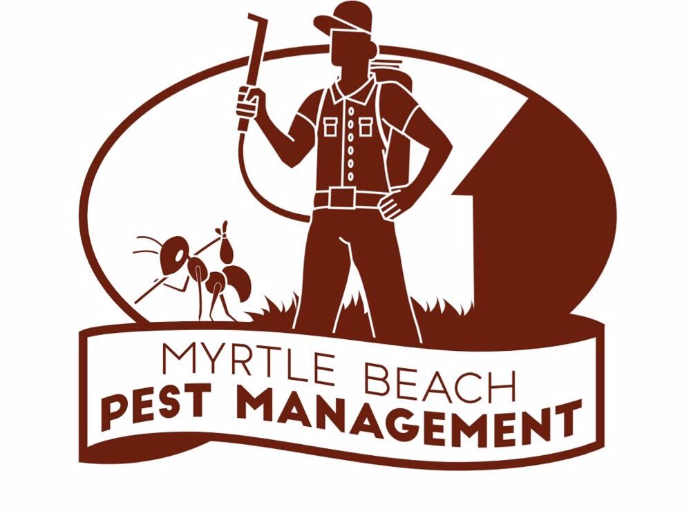MYRTLE BEACH PEST MANAGEMENT Myrtle Beach, South Carolina Pest Control Phone Number Yelp