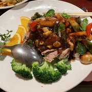 Photo of Jasmine - Auburn, MA, United States. Duck