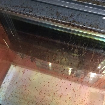 Spruse Cleaning - Inside of stove - not cleaned - Home Cleaning Near Me Spruse Cleaning - Inside of stove - not cleaned - Home Cleaning Near Me