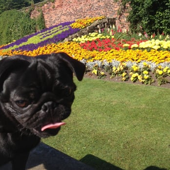 Roundhay Park - The flower gardens opposite tropical world are gorgeous- and dog friendly! - Parks Near Me