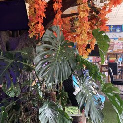 A Walk in the Park Café - Interior