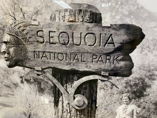 Sequoia National Forest by null