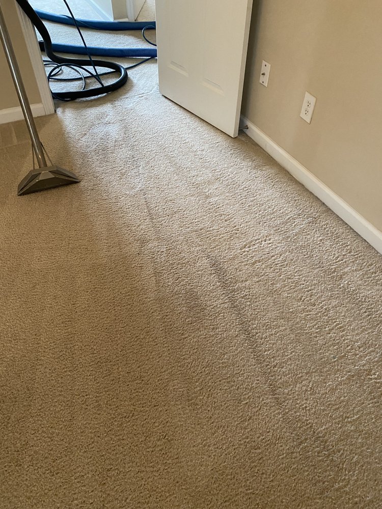 GOT CARPETS? Updated September 2024 62 Photos & 22 Reviews 4051