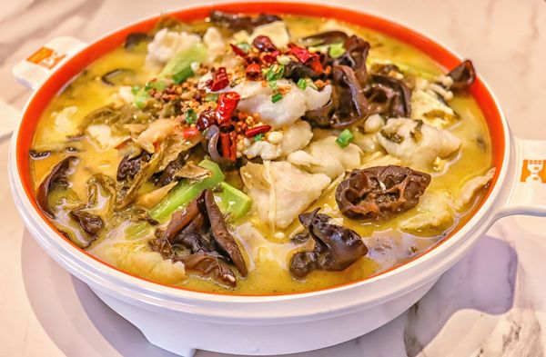 Fish With You 鱼你在一起 by null