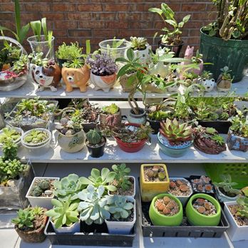J-Town - Sidewalk vendor's booth on 6/16/24 (Anli'@ Orchids Garden). - Shopping Centers Near Me - Markham, Ontario