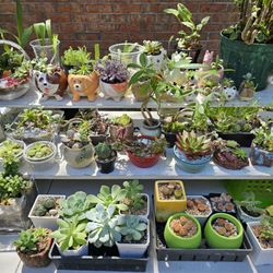 J-Town - Sidewalk vendor's booth on 6/16/24 (Anli'@ Orchids Garden).