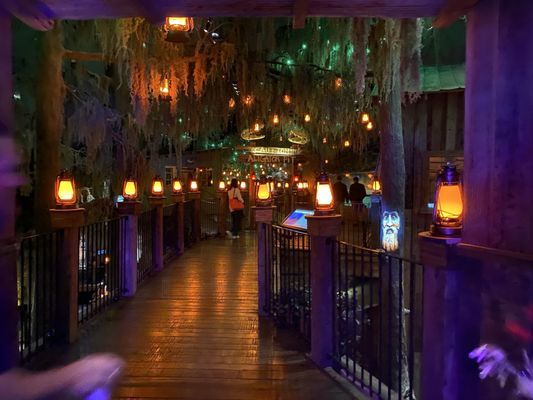 Wonders Of Wildlife National Museum & Aquarium by null