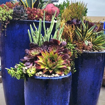 West Coast Pottery - Arts & Crafts Near Me - Santa Ana, California West Coast Pottery - Arts & Crafts Near Me - Santa Ana, California