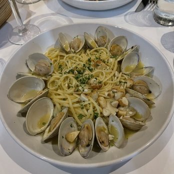 Acquolina - Linguine and clams - Italian Near Me - Weston, Florida