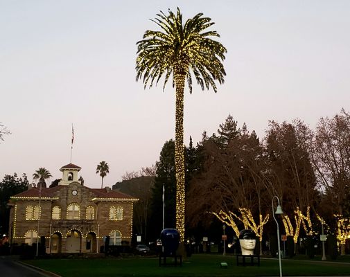 Sonoma Plaza by null