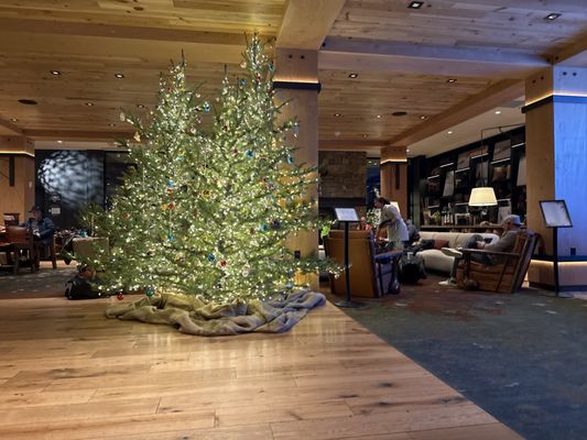 The Cloudveil, Autograph Collection by null