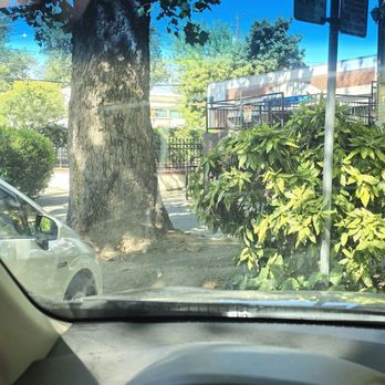 The Waterboy - The area around Waterboy has a nice parking lot and plenty of trees for summer - French Near Me - Sacramento, California The Waterboy - The area around Waterboy has a nice parking lot and plenty of trees for summer - French Near Me - Sacramento, California