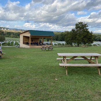 Arrington Vineyards - Music stage - Wine Tasting Room Near Me - Arrington, Tennessee