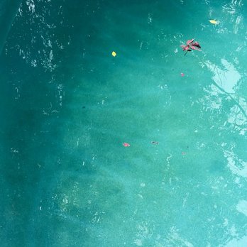 LaBella Pool Service & Supply - Green algae growing on the bottom and brush marks. - Pool Cleaners Near Me - Hayward, California LaBella Pool Service & Supply - Green algae growing on the bottom and brush marks. - Pool Cleaners Near Me - Hayward, California