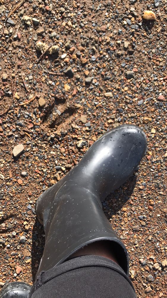 MORNING STAR LAKE RESORTFORESTHILL 69 Photos & 84 Reviews Hotels