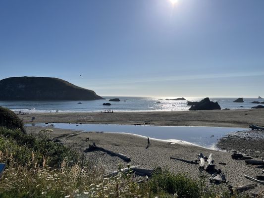 Harris Beach by null