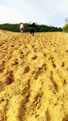 Sand Dune Park by null