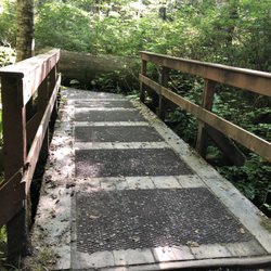Butze Rapids