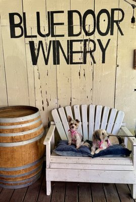 Blue Door Winery by null