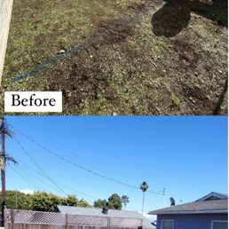 Backyard landscaping project Backyard landscaping project