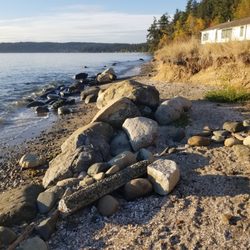 Fort Ward Park in Bainbridge Island gift card