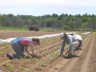 Food For Free - social services organization in Somerville, MA