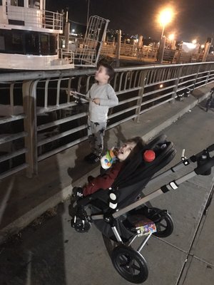 Stella Maris Bait & Tackle by null