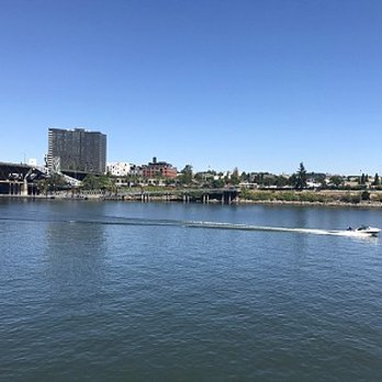 Tom McCall Waterfront Park - Nice view from the park but I felt more comfortable and got just as nice views from OMSI on the other side. - Parks Near Me - Portland, Oregon Tom McCall Waterfront Park - Nice view from the park but I felt more comfortable and got just as nice views from OMSI on the other side. - Parks Near Me - Portland, Oregon