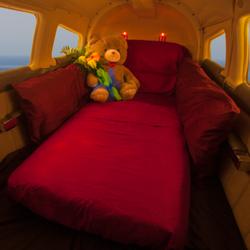 Mile High Club