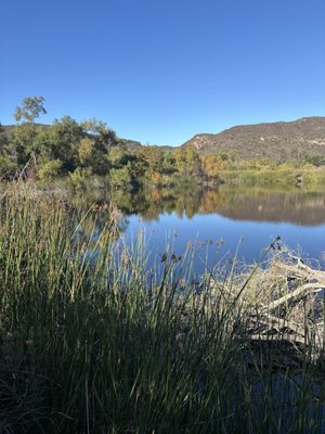 Laguna Coast Wilderness Park: Big Bend by null