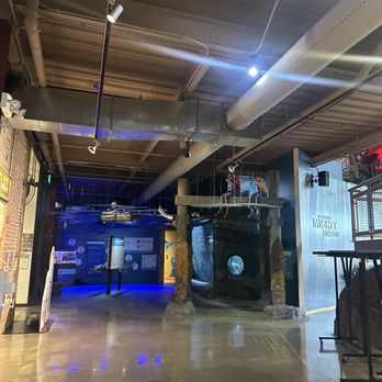 Outdoor Adventure Center - Fish tank - Planetarium Near Me - Detroit, Michigan Outdoor Adventure Center - Fish tank - Planetarium Near Me - Detroit, Michigan
