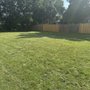 Photo of Elite Lawn Services