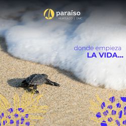 Paraiso Huatulco - Donde empieza la vida. Disfruta de Huatulco
